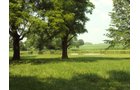 Property photo 40 - 160 Acres Offered in 6 Tracts